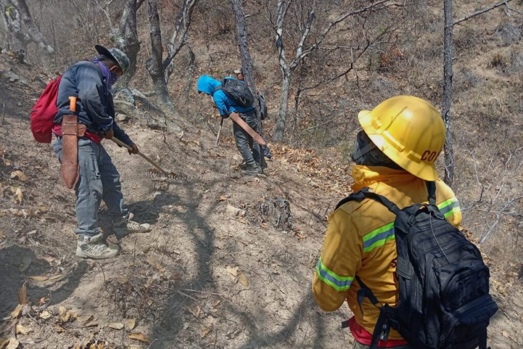 Combaten incendio forestal en San Juan Juquila Mixes
