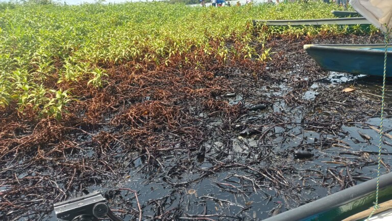 Derrame de hidrocarburo afecta a pescadores de Coatzacoalcos