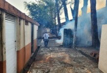 Refuerza Coatzacoalcos acciones contra el dengue con fumigaciones y concientización 