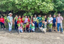 Reforestación en la carretera de El Comuncito, Mixtepec