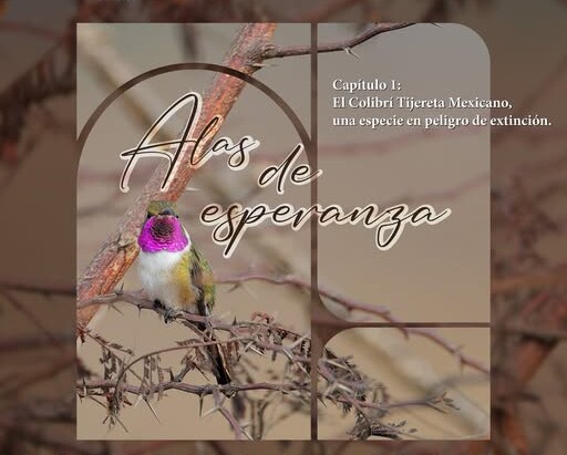 Actividades gratuitas en Museo Kaná por el Día del Medio Ambiente