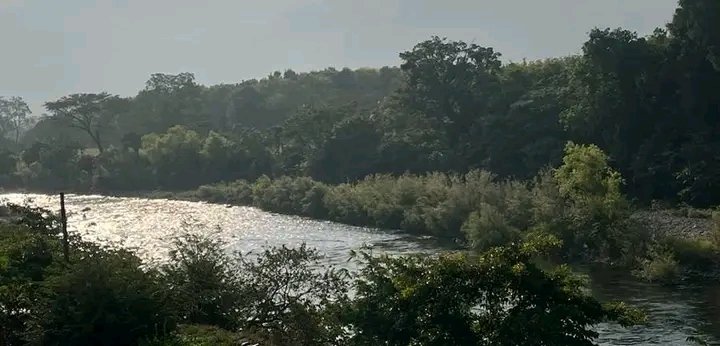 Profepa participa en plan de saneamiento del río Los Perros, del Istmo de Tehuantepec