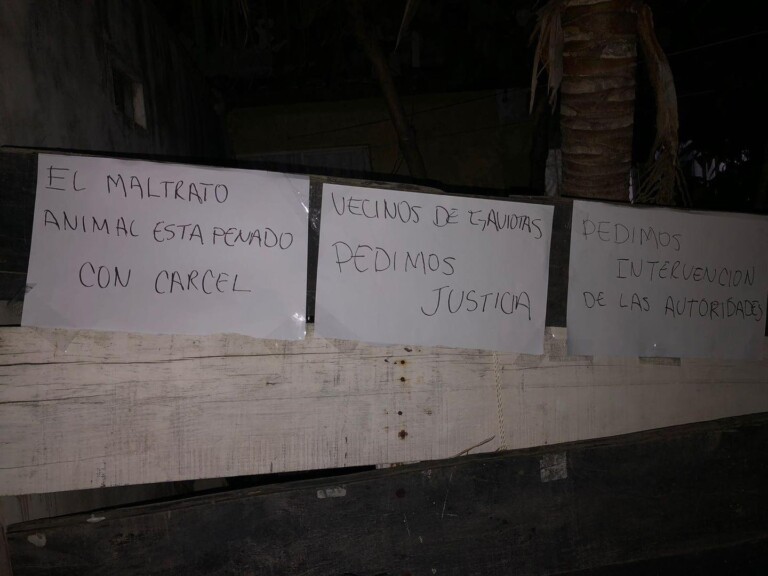 Vecinos se manifiestan en “Las Gaviotas” por caso de maltrato animal