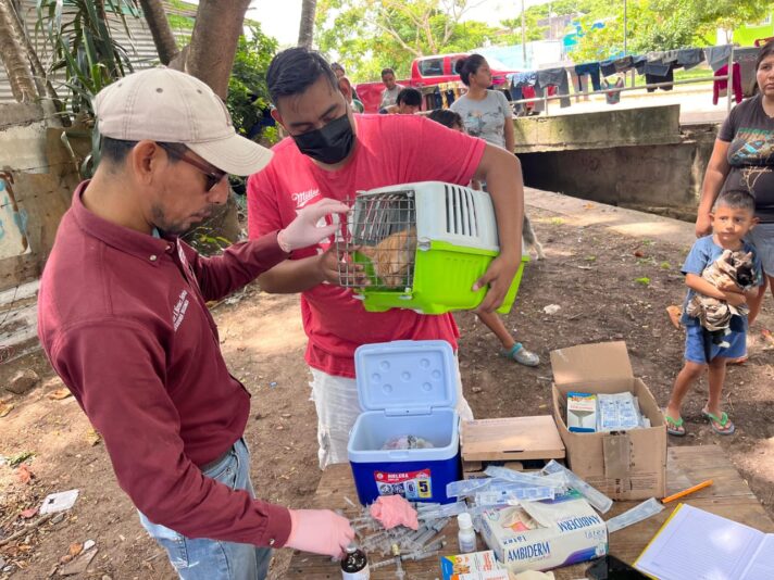 Coatzacoalcos refuerza la salud pública con jornada de vacunación para perros y gatos