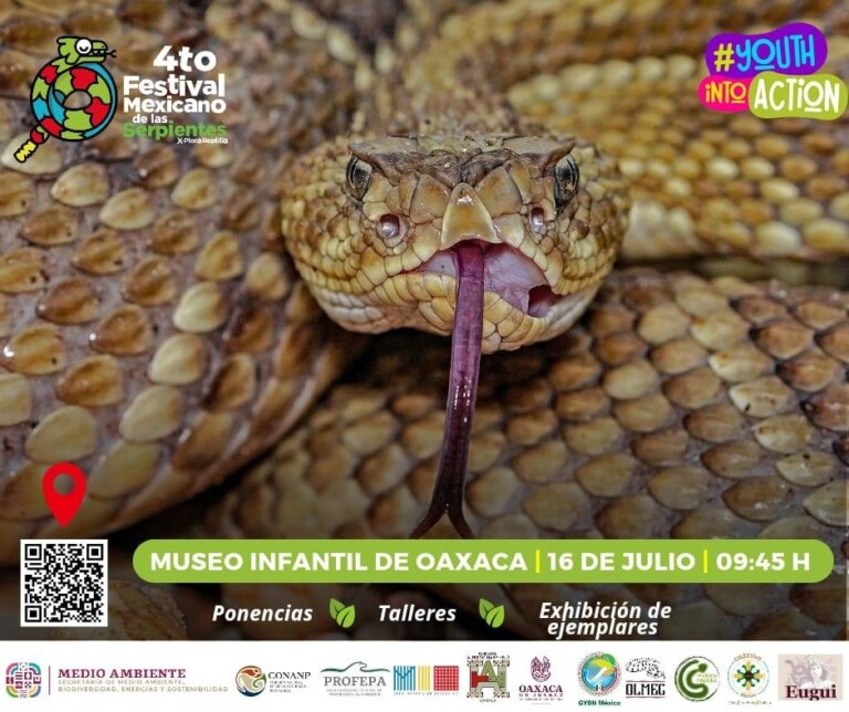 Anuncian Cuarto Festival Mexicano de las Serpientes