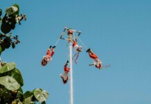 Suspenden ritual de los Voladores de Papantla tras caída de danzantes