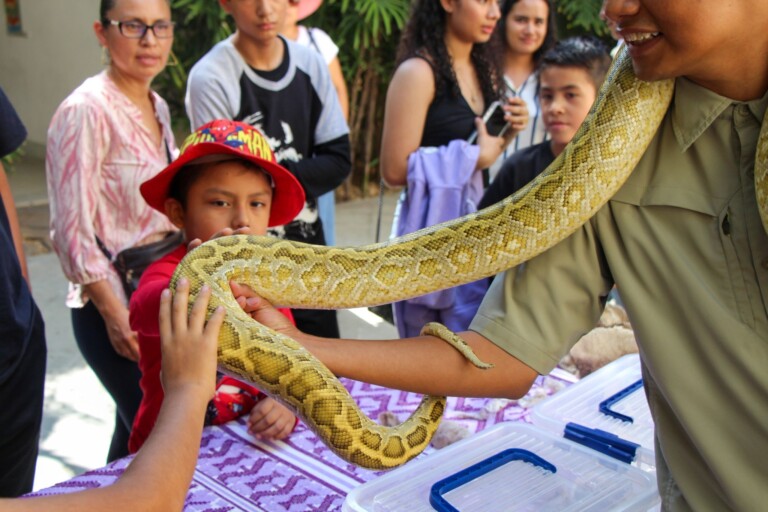 MUFI celebra el Día de las Serpientes con charlas y exposición fotográfica