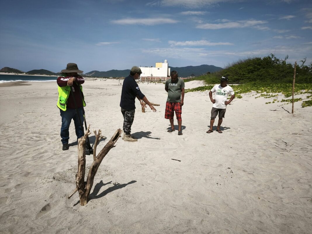 Salina Cruz prepara instalación de campamentos tortugueros