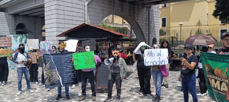 Marchan en Paseo del Río por los animales