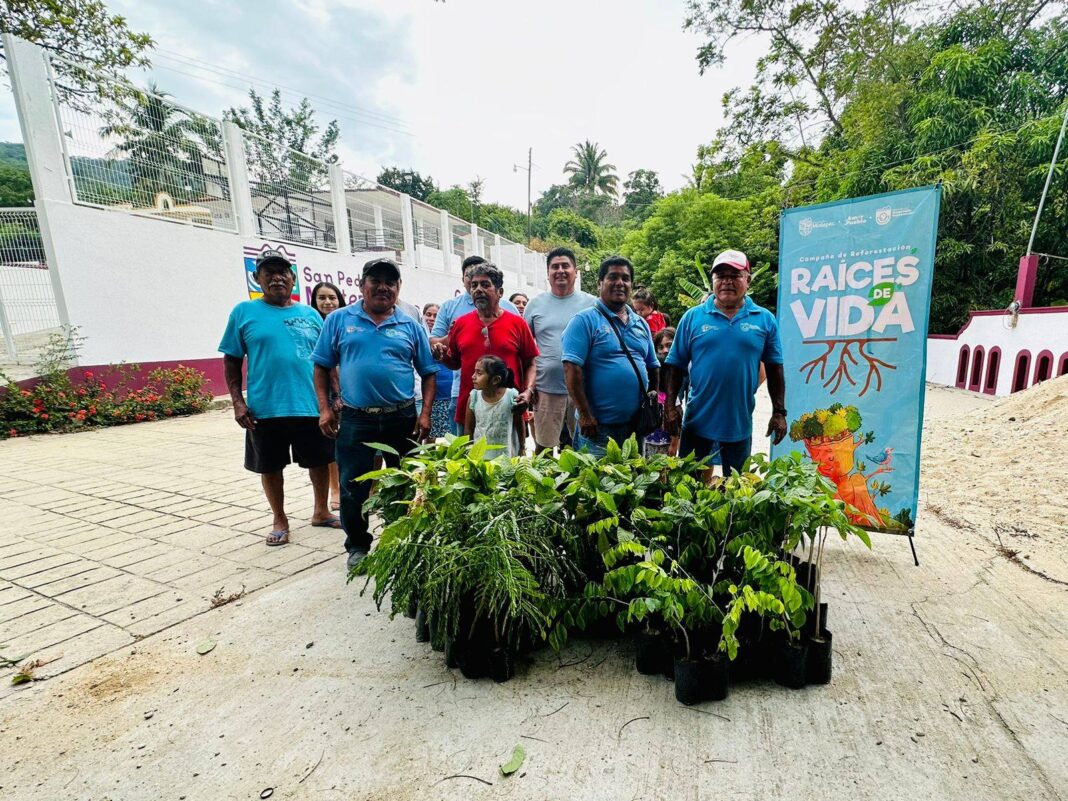 Mixtepec impulsa reforestación con entrega de árboles