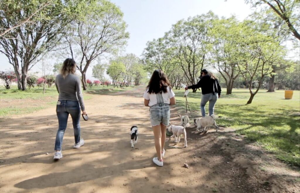 Gobierno de Oaxaca promueve parques pet friendly seguros