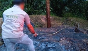 Profepa impone medidas urgentes por derrame de asfalto en Putla, Oaxaca