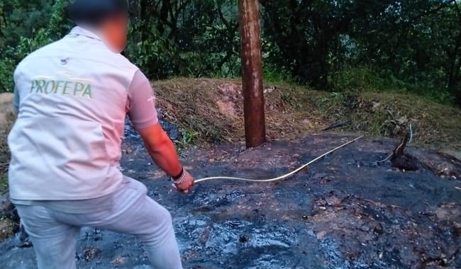Profepa impone medidas urgentes por derrame de asfalto en Putla, Oaxaca