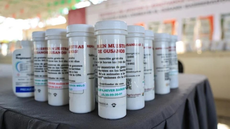 Salomón Jara entrega kits para prevenir el avance de gusano barrenador en la Costa oaxaqueña