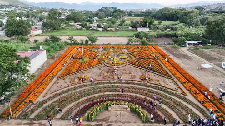 Dan banderazo de salida al circuito floral “Flores que Guían el Alma” Dan banderazo de salida al circuito floral “Flores que Guían el Alma”