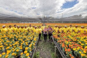 Embellecerán los espacios públicos de Oaxaca con 30 mil plantas de flor de cempasúchil