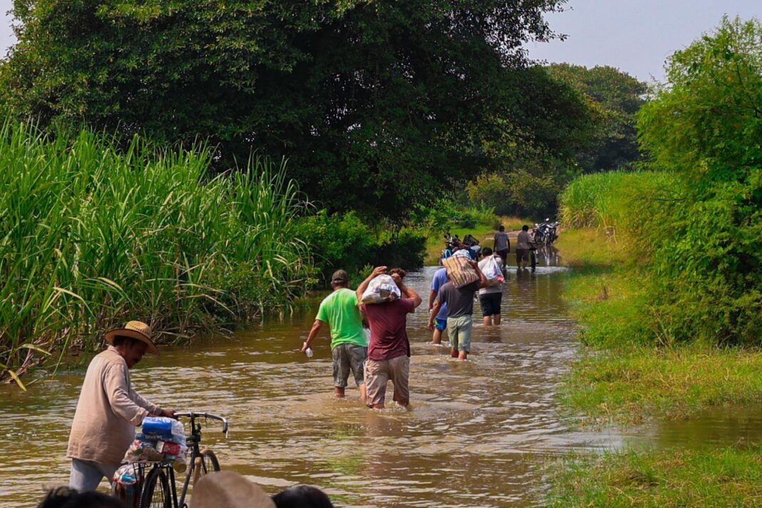 Japón envía ayuda para damnificados de 5 estados de México