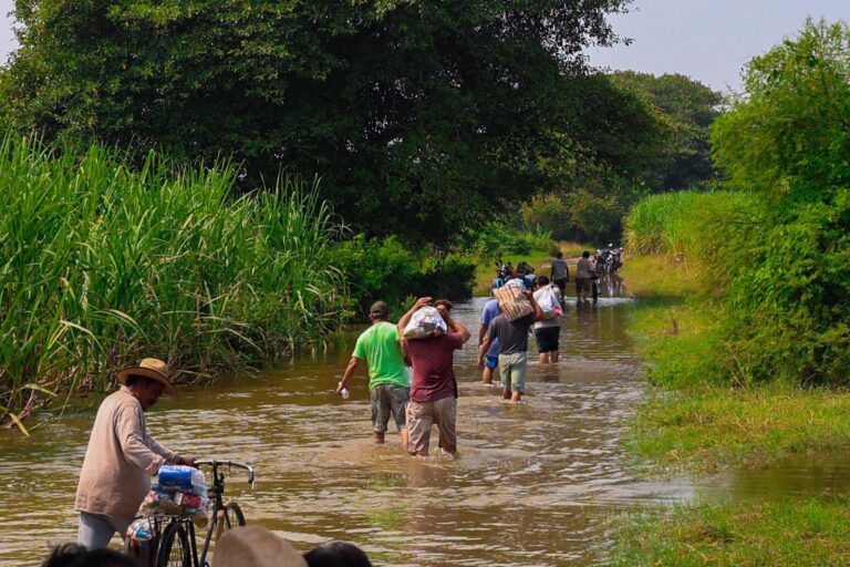 Japón envía ayuda para damnificados de 5 estados de México