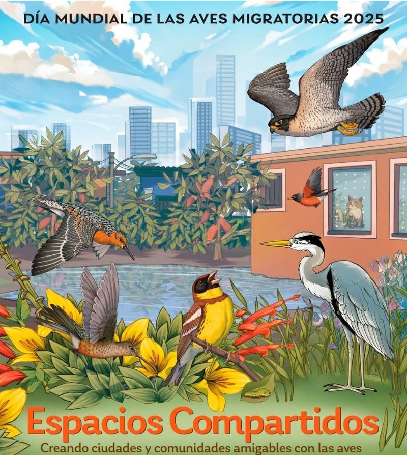 No te pierdas el 6to. Festival de las Aves de Orizaba
