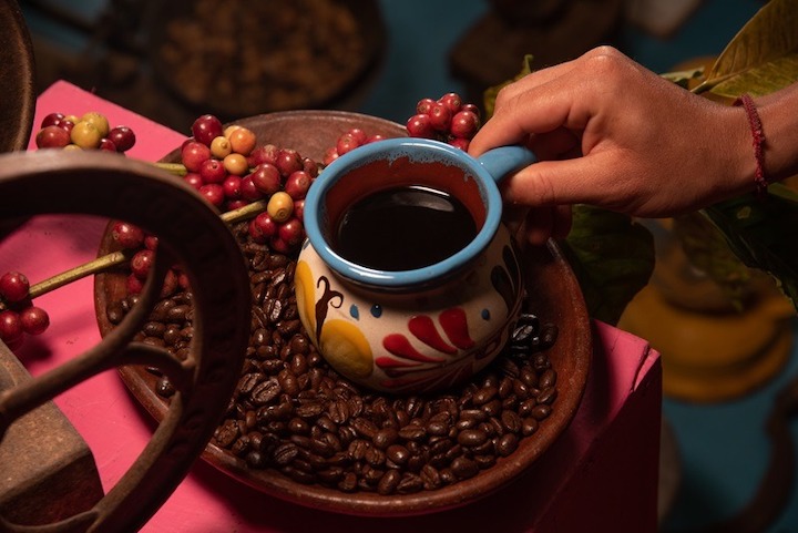 Sectur Oaxaca invita a disfrutar la Ruta del Café Pluma Aromas de la Sierra Sur