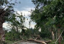 Tornado sorprende a Veracruz