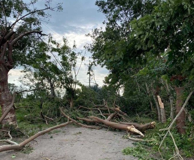 Tornado sorprende a Veracruz Tornado sorprende a Veracruz