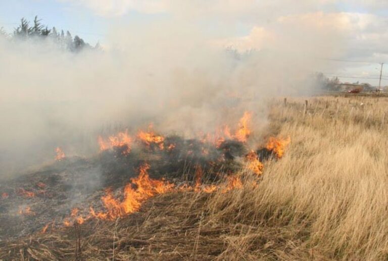 Exhorta gobierno de Ixtaltepec a reforzar la prevención de incendios