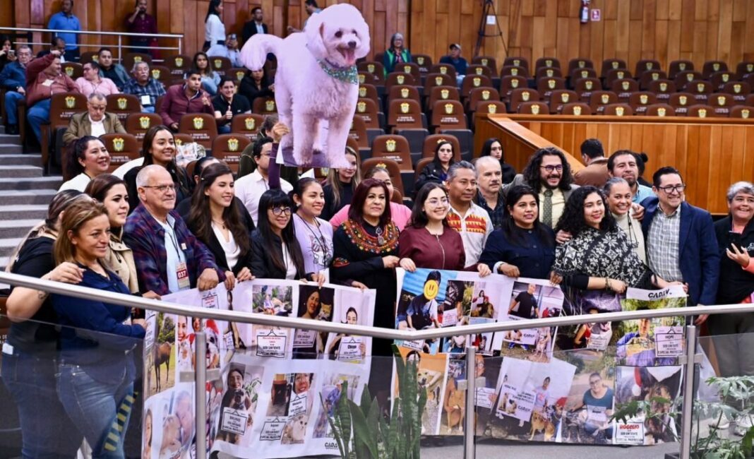 Veracruz eleva a rango constitucional la protección de animales