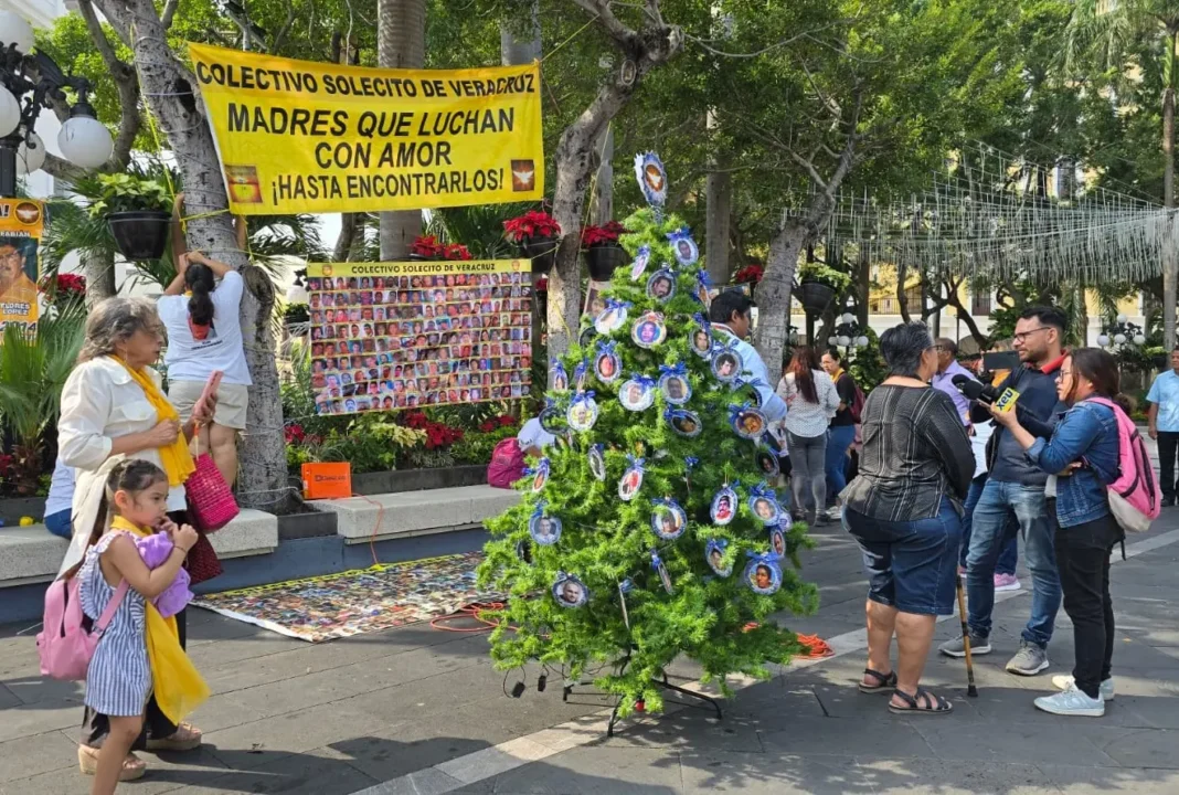 Colectivo Solecito instala “árbol del dolor” en Veracruz