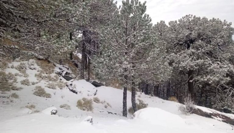 PC invita a visitar el Cofre de Perote con las siguientes recomendaciones