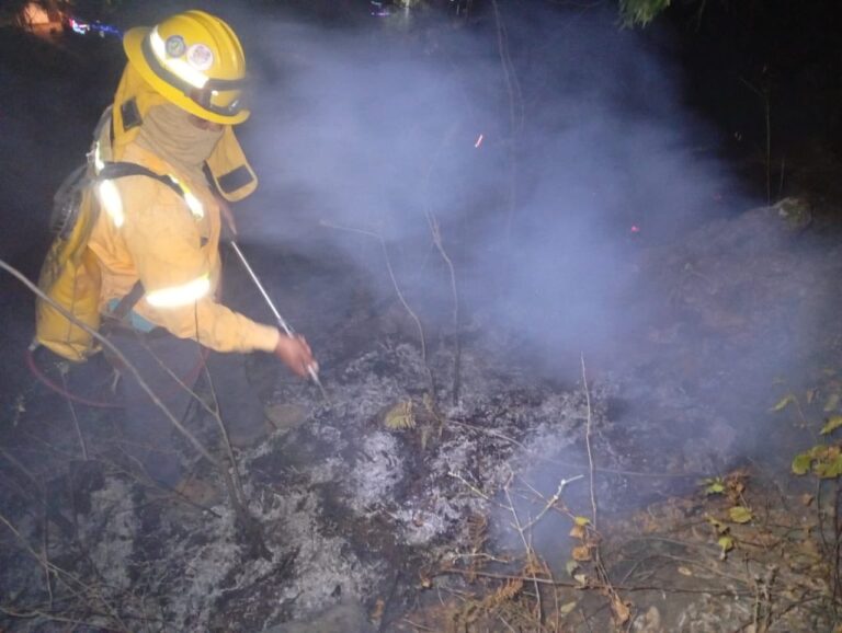 Controlan incendio en el Cerro del Crestón
