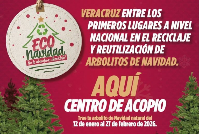 Eco Navidad 2026
