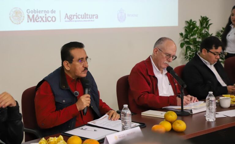 Lanzan plan estratégico para rescatar la citricultura en Veracruz