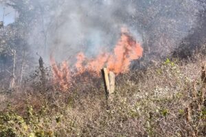 Incendio deja dos muertos en Oaxaca