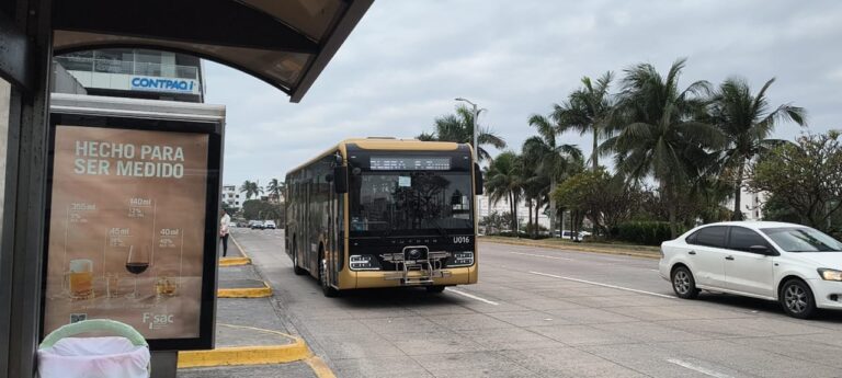 Ulúa operará como servicio público del Estado: Rocío Nahle