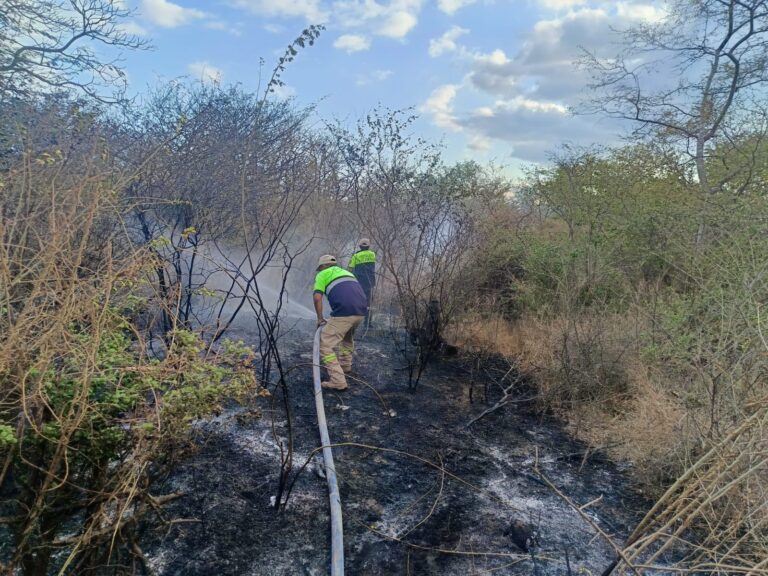 Atienden quema de pastizales en Tehuantepec