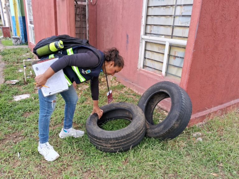 Combaten al mosquito transmisor del dengue con Programa Permanente de Eliminación de Criaderos
