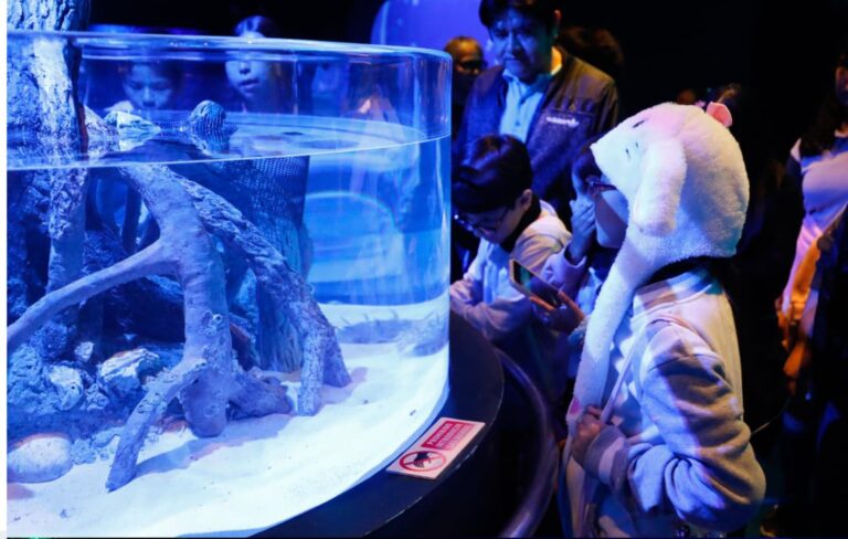 Aquarium de Veracruz tendrá horario especial del 14 al 17 de febrero