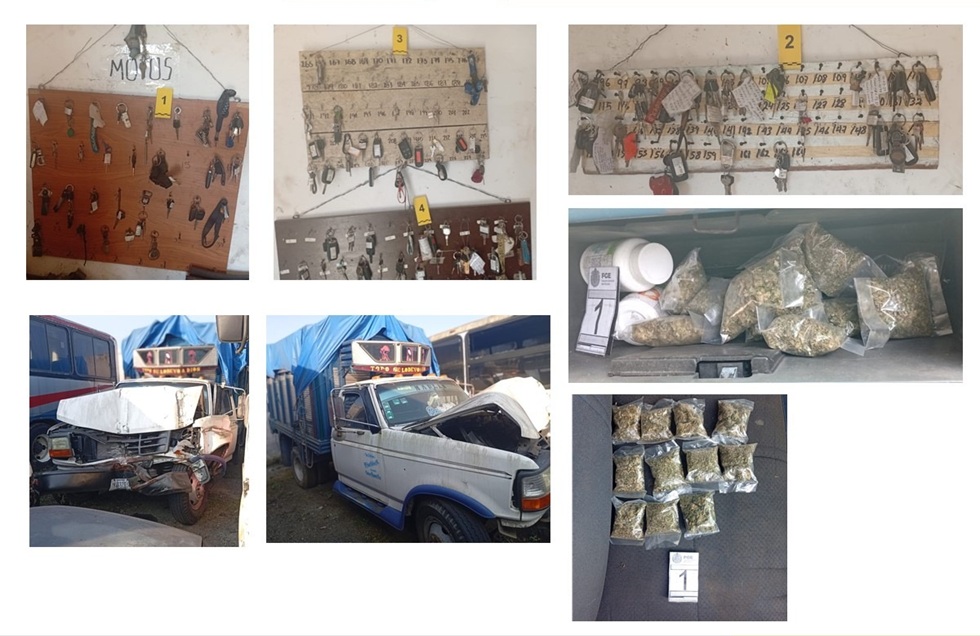 Catean corralón ilegal en Veracruz; aseguran 327 vehículos