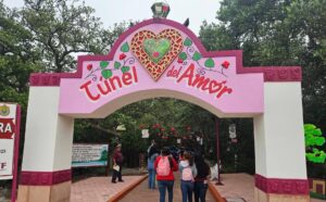 Profepa clausura el "Túnel del Amor" en Veracruz