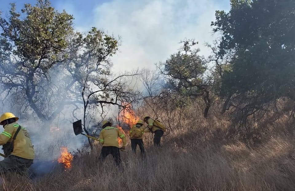 Reportan tres incendios forestales activos en Oaxaca