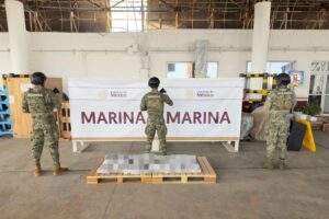 Aseguran más de 200 kilos de droga en el puerto de Veracruz