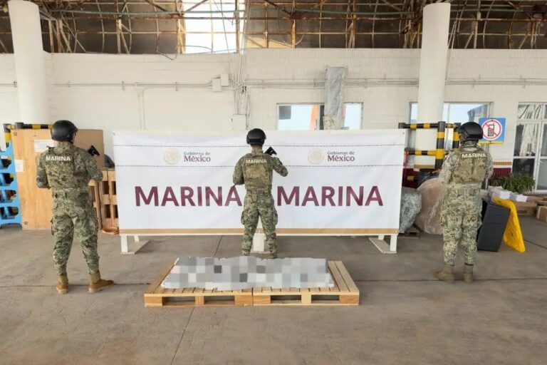 Aseguran más de 200 kilos de droga en el puerto de Veracruz