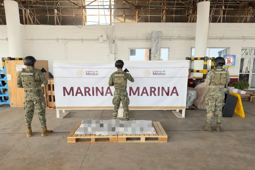 Aseguran más de 200 kilos de droga en el puerto de Veracruz