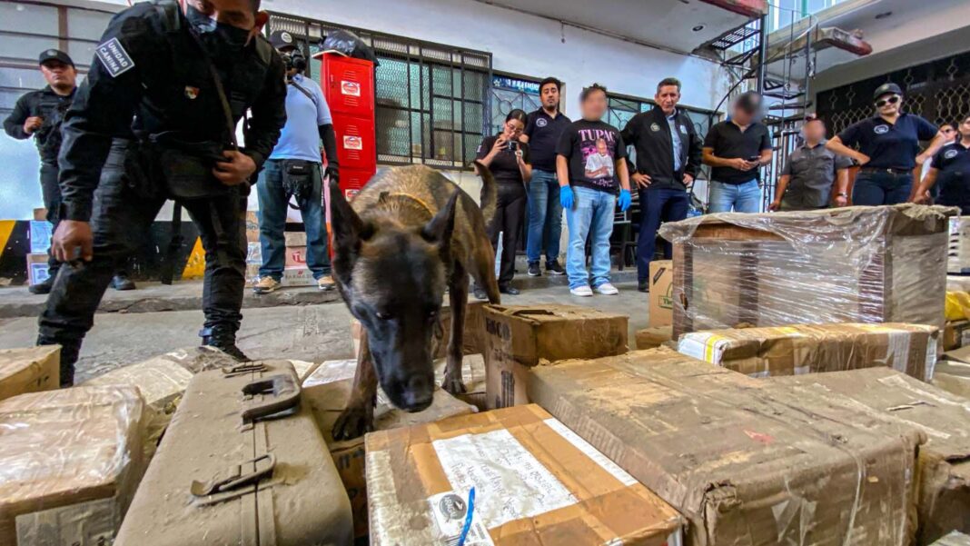 Detectan envíos de droga y armas en paqueterías de Oaxaca