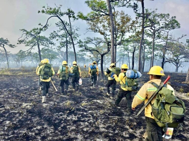 En marzo se atendieron 36 incendios forestales y de pastizales en Oaxaca