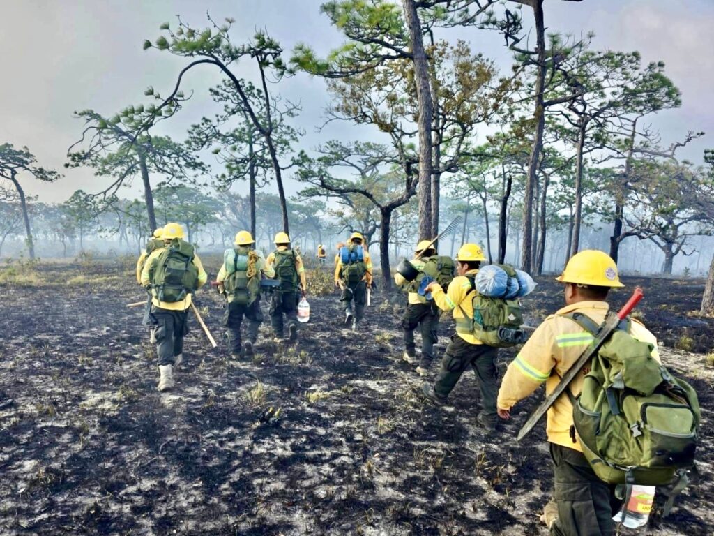 En marzo se atendieron 36 incendios forestales y de pastizales en Oaxaca