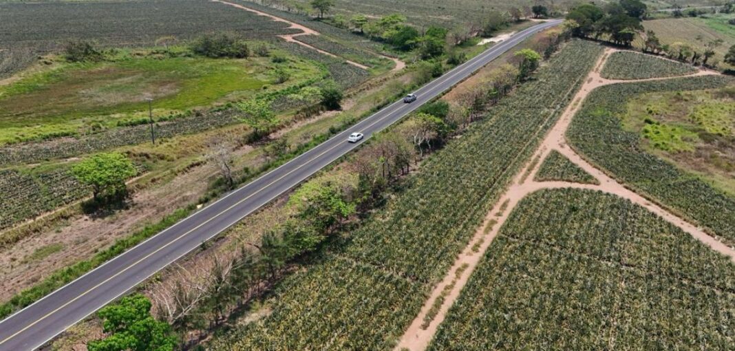 Compromiso cumplido: Rocío Nahle entrega primer tramo de Isla–Santiago Tuxtla