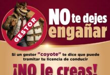 Licencias sin intermediarios: SSP Veracruz