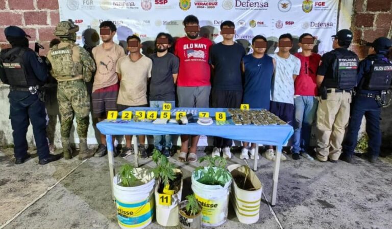 Cateo en Santiago Tuxtla, Veracruz, deja 8 detenidos